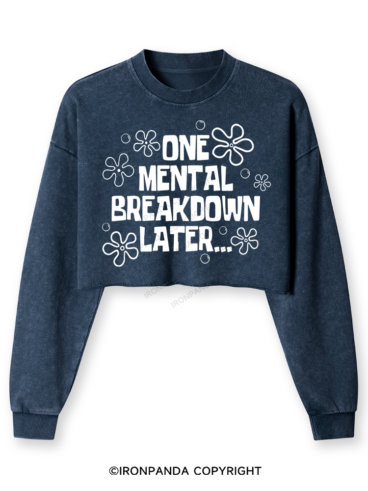 ONE MENTAL BREAKDOWN LATER Washed Long-Sleeve Crop Top
