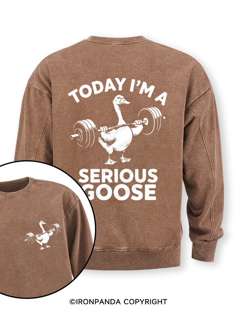 Today i'm a serious goose new Double-Sided Printed Washed Sweatshirt