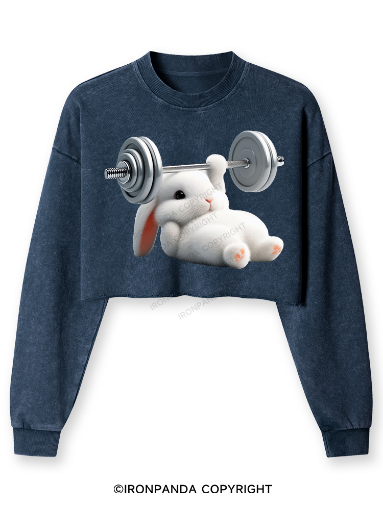 RABBIT ONE-ARM BENCH PRESS Washed Long-Sleeve Crop Top