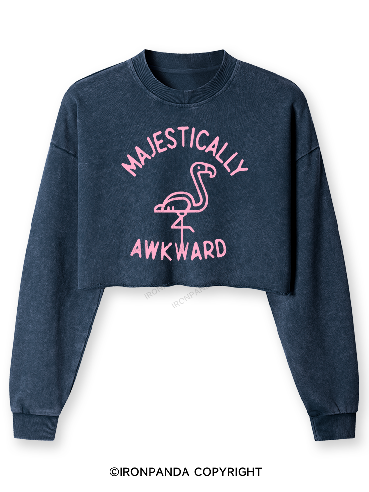 Majestically Awkward Washed Long-Sleeve Crop Top