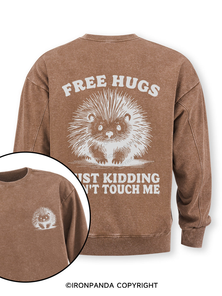 Free Hugs Just Kidding Don't Touch Me Lion Double-Sided Printed Washed Sweatshirt