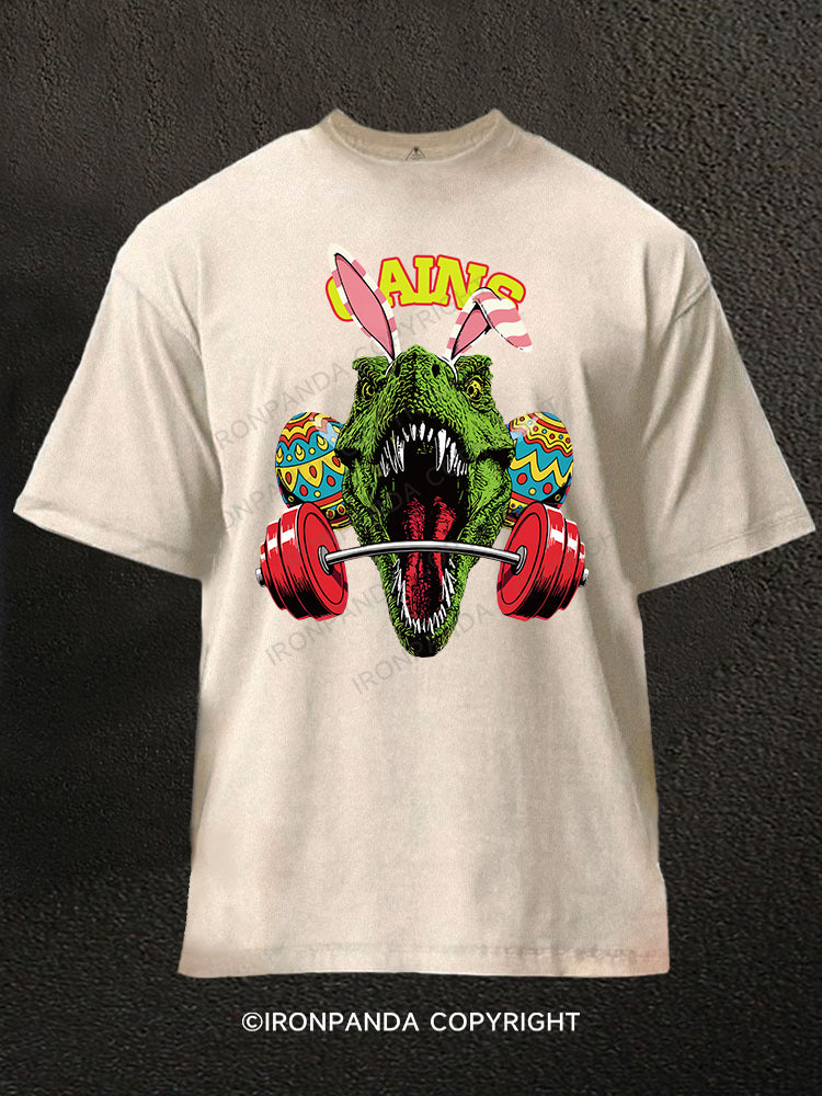 GAINS Washed Gym Shirt