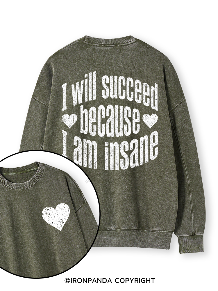 I WILL SUCCEED BECAUSE I AM INSANE Double-Sided Printed Washed Sweatshirt