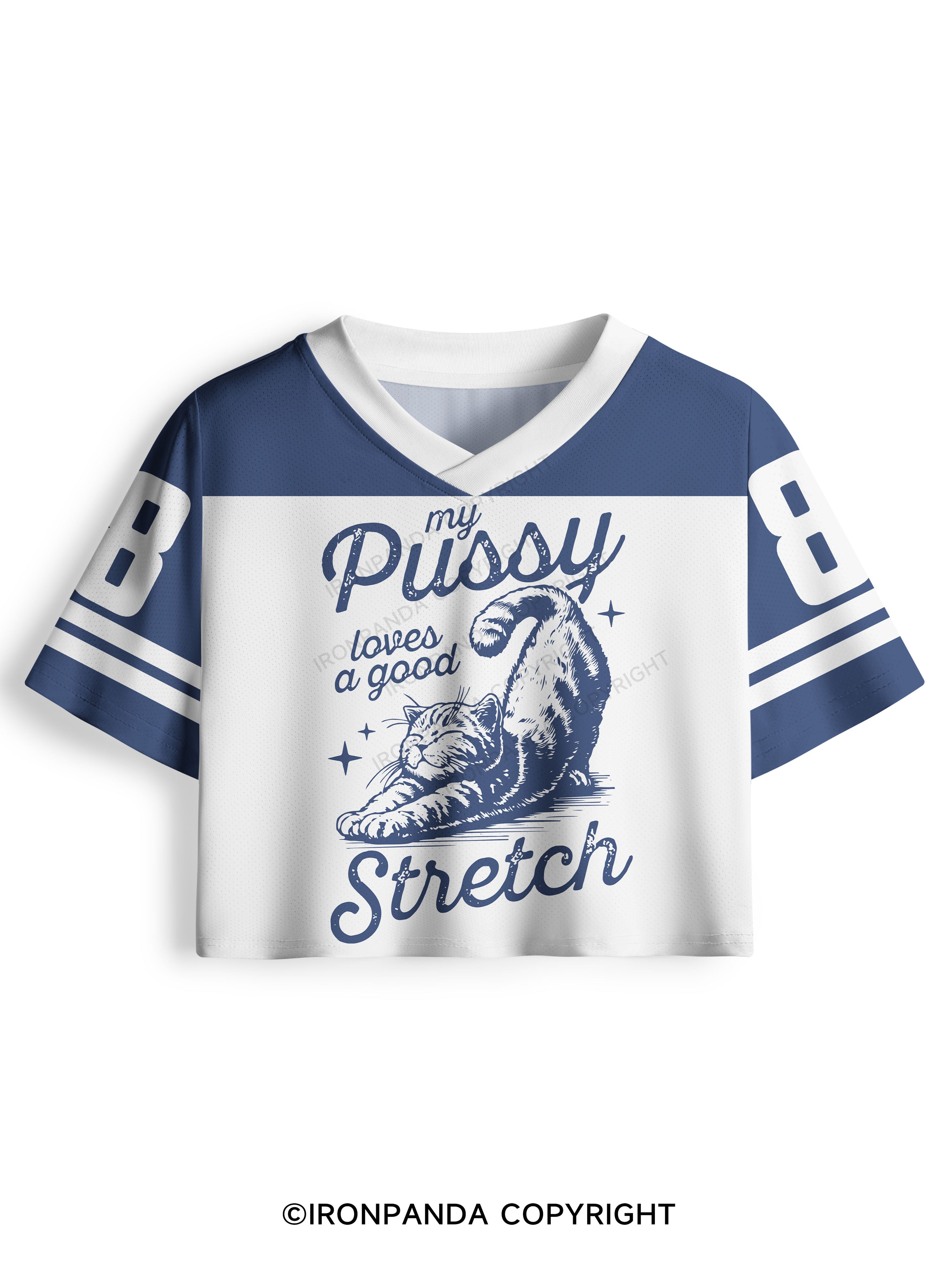My Pussy Loves a Good Stretch Pro Mesh Jersey