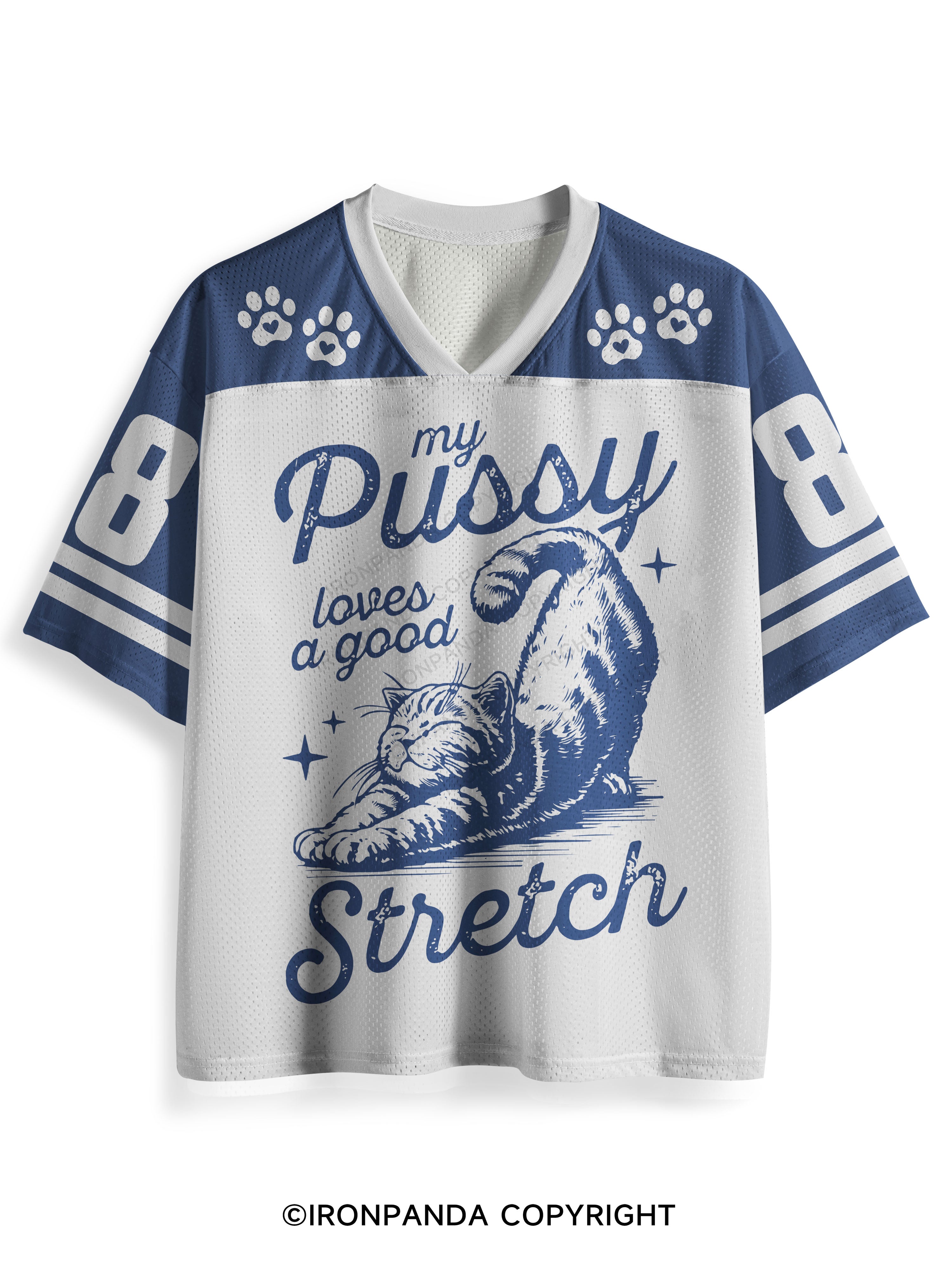 My Pussy Loves a Good Stretch Mesh Jersey