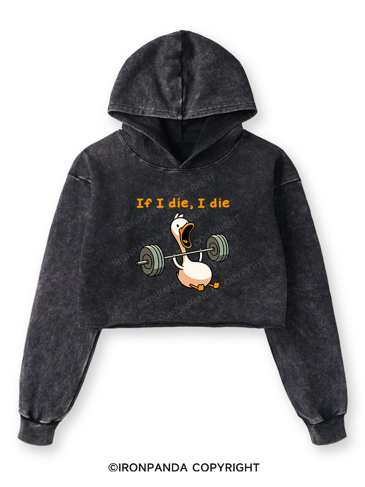 IF I DIE I DIE Washed Crop Hoodie