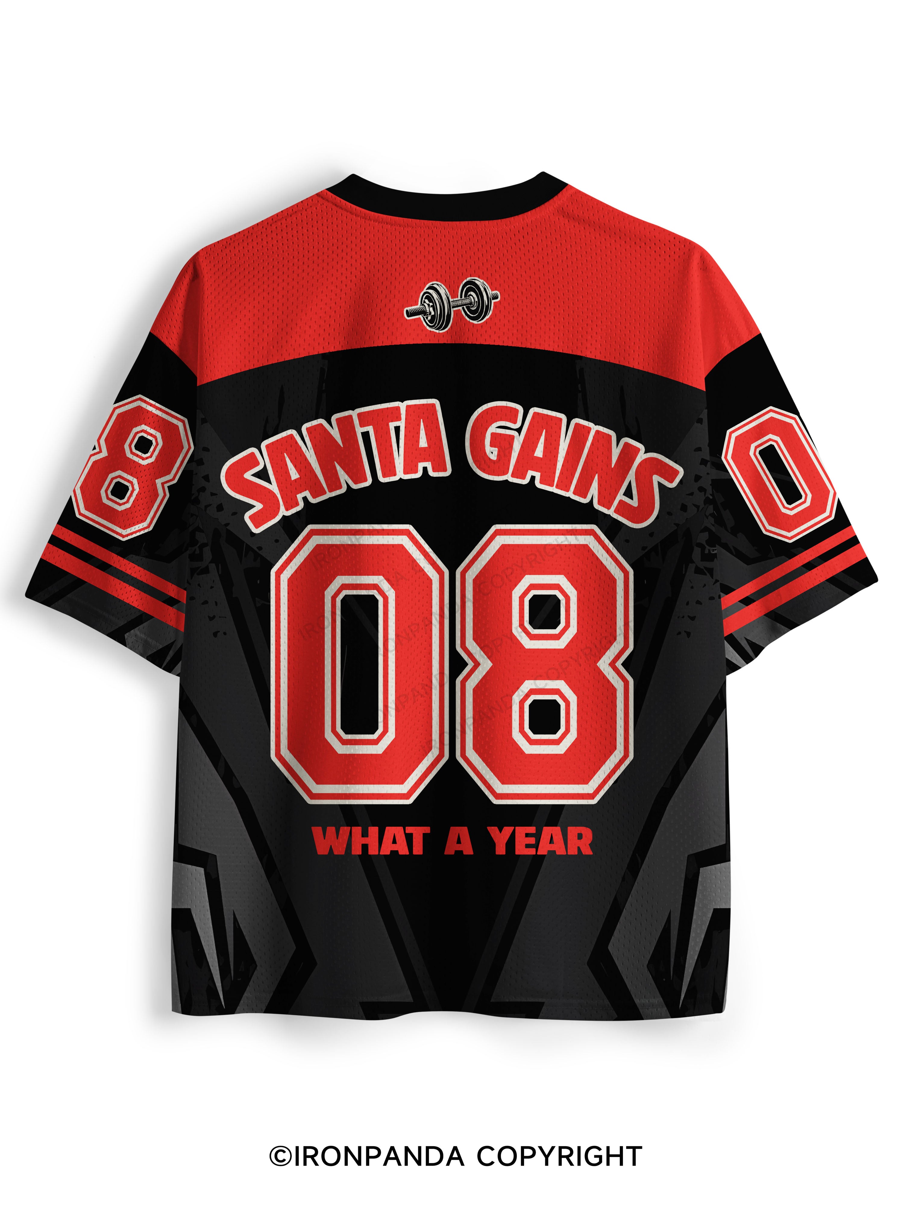 HO HO HOLY SHIT WHAT A YEAR Mesh Jersey
