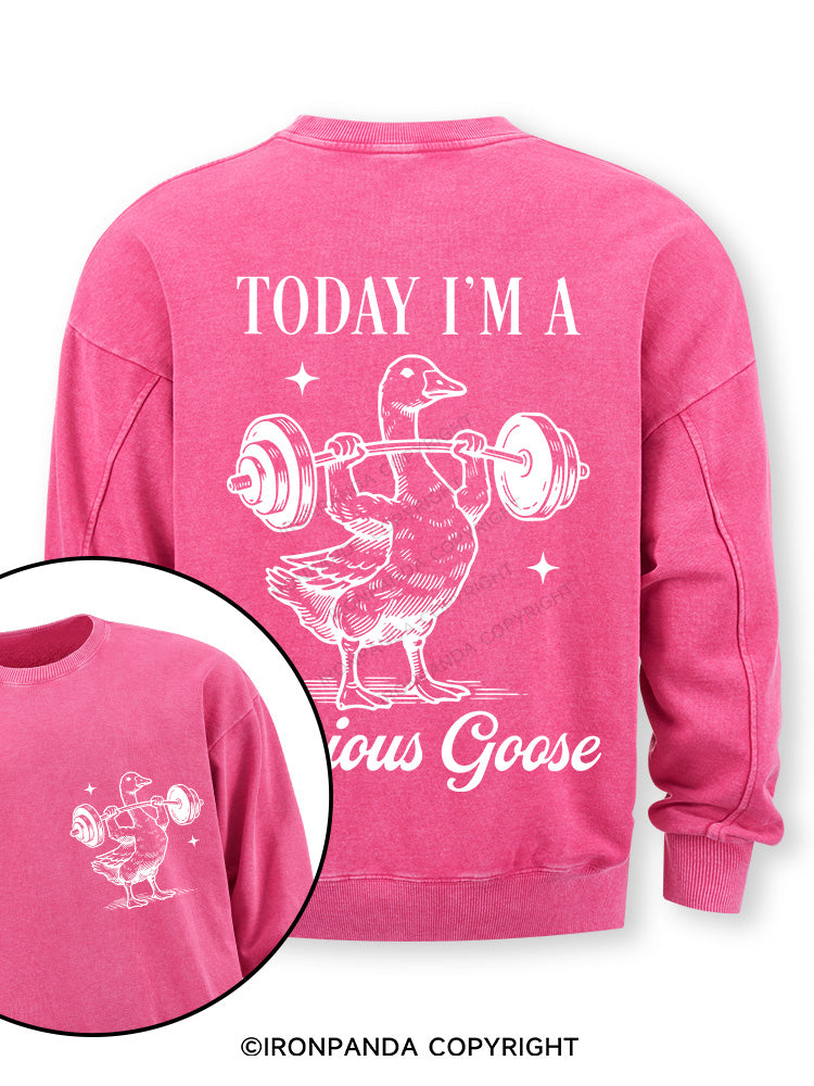 TODAY I'M A Serious Goose Double-Sided Printed Washed Sweatshirt