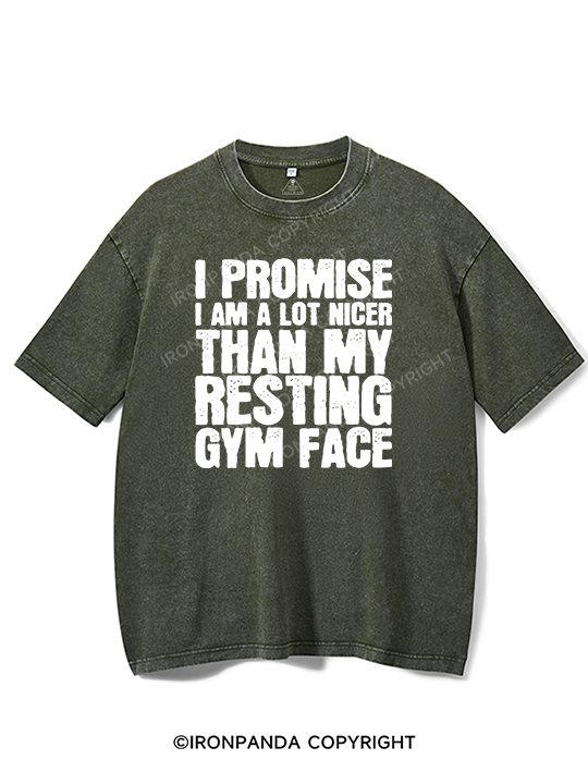 Nicer Than My Resting GYM Face Washed Gym Shirt