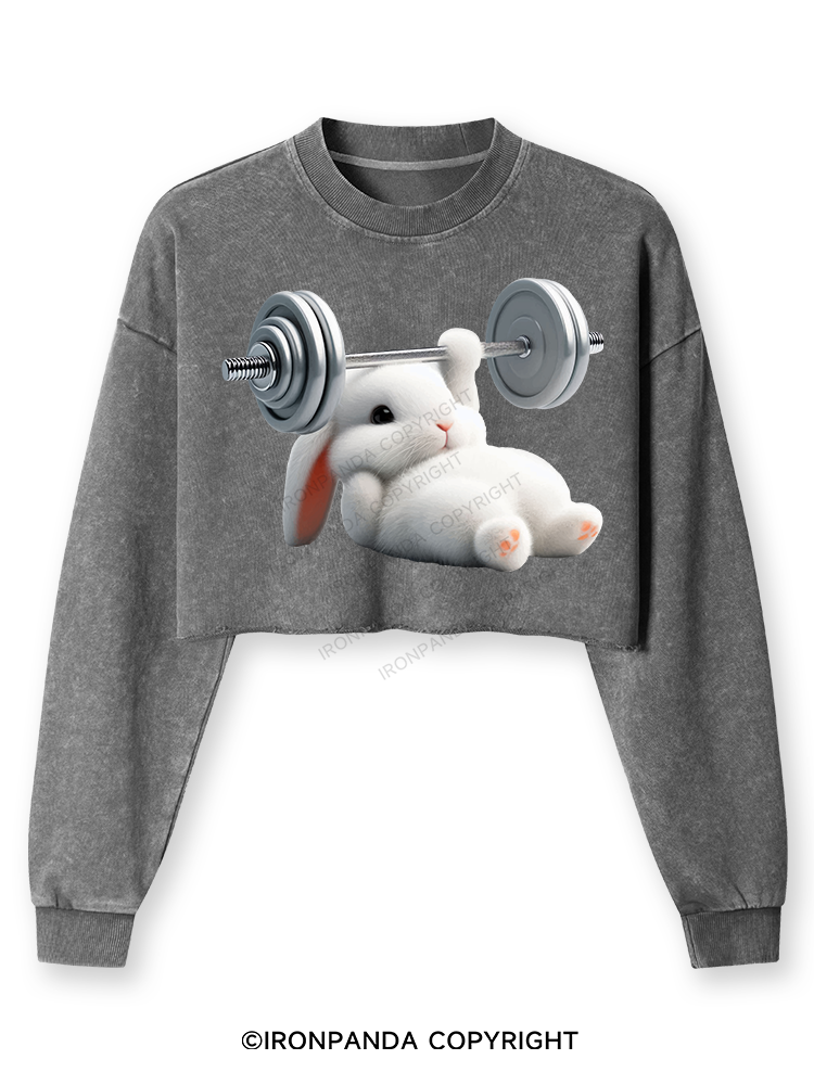 RABBIT ONE-ARM BENCH PRESS Washed Long-Sleeve Crop Top