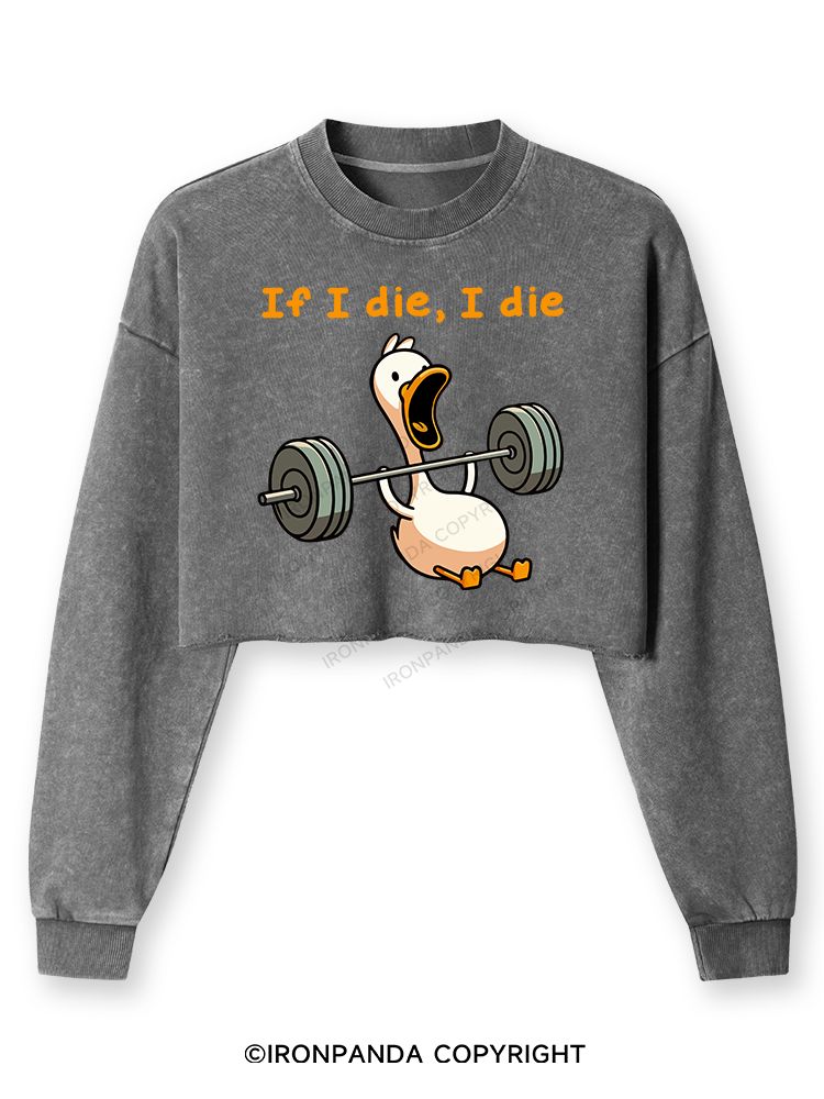 IF I DIE I DIE Washed Long-Sleeve Crop Top