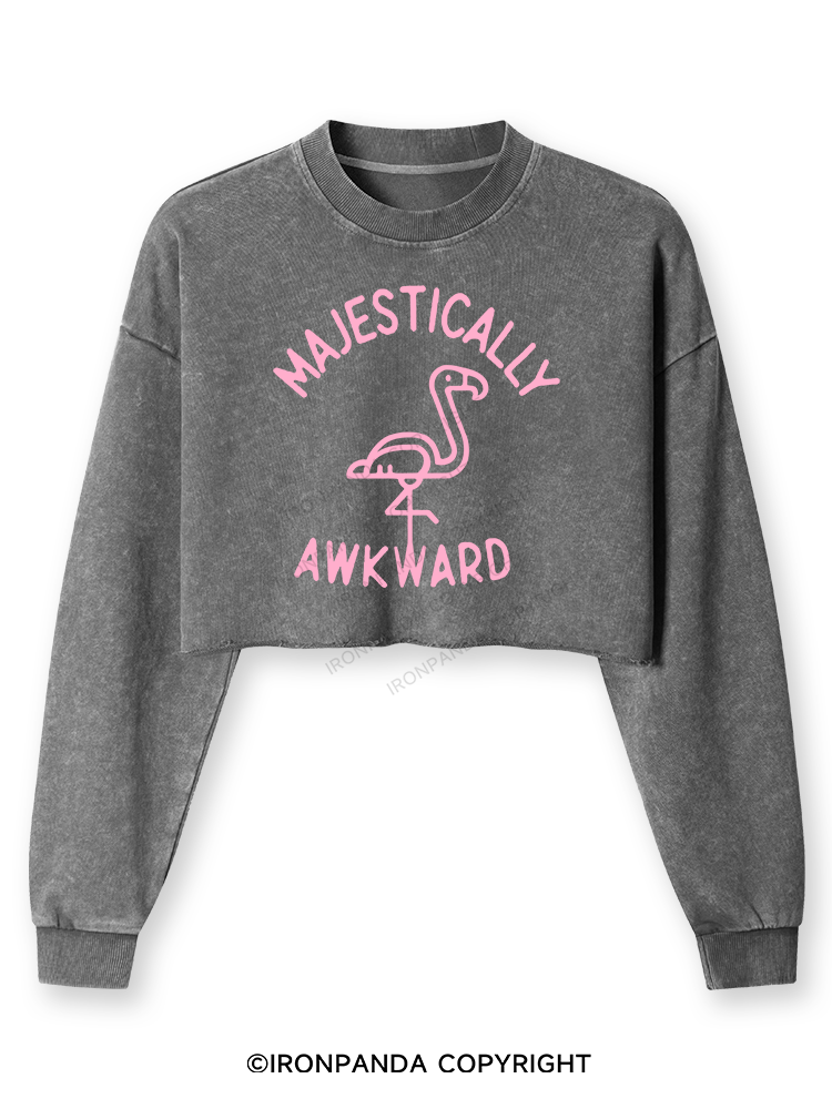 Majestically Awkward Washed Long-Sleeve Crop Top