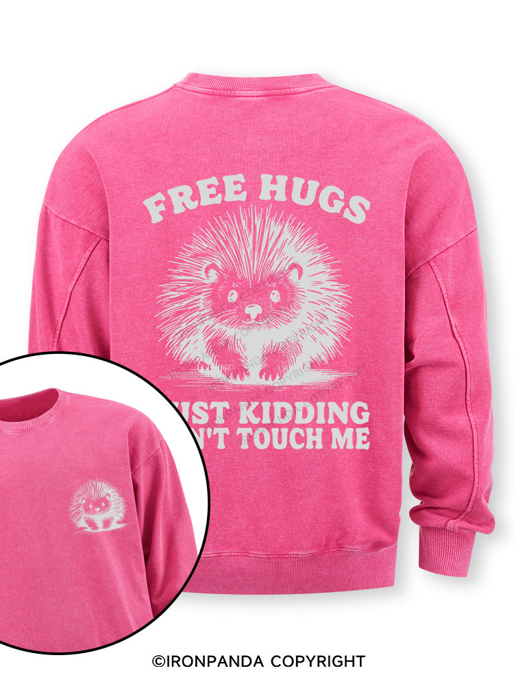 Free Hugs Just Kidding Don't Touch Me Lion Double-Sided Printed Washed Sweatshirt