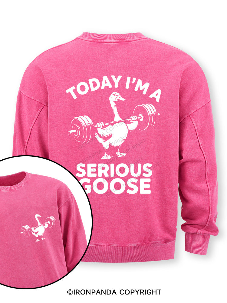 Today i'm a serious goose new Double-Sided Printed Washed Sweatshirt