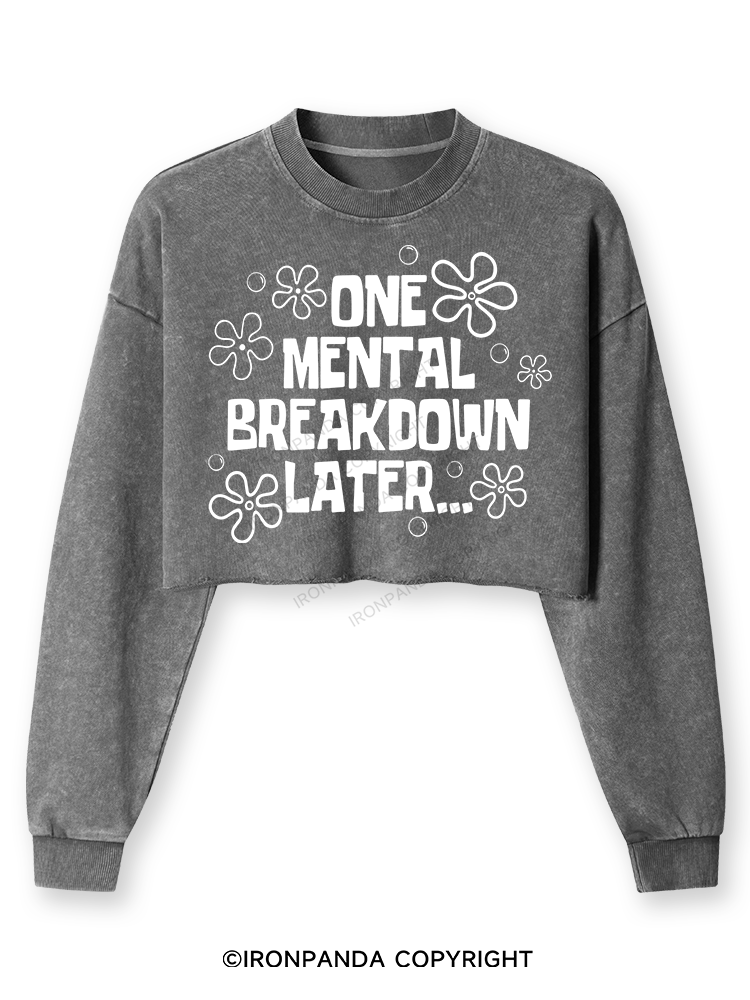 ONE MENTAL BREAKDOWN LATER Washed Long-Sleeve Crop Top