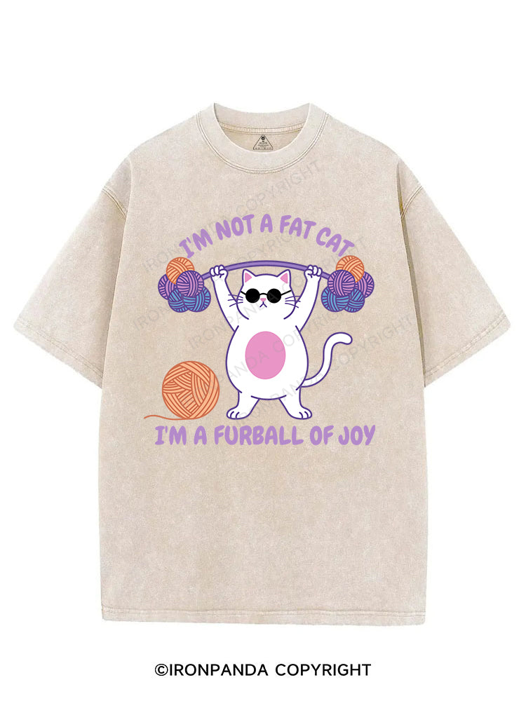I'm not a fat cat, I'm a furball of joy VINTAGE GYM SHIRT