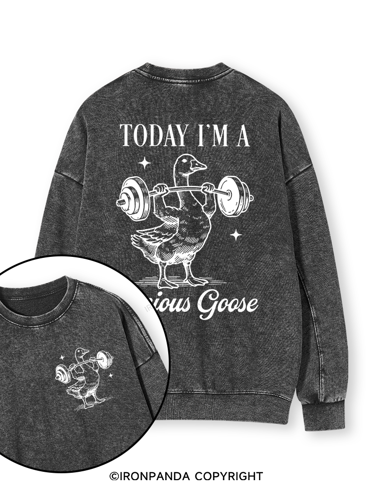 TODAY I'M A Serious Goose Double-Sided Printed Washed Sweatshirt
