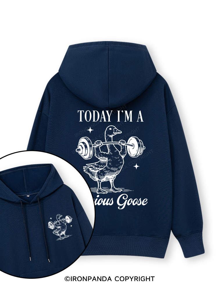 TODAY I'M A Serious Goose Double-Sided Printed Classic Gym Hoodie