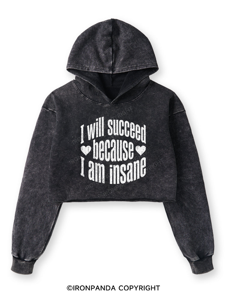 I WILL SUCCEED BECAUSE I AM INSANE Washed Crop Hoodie