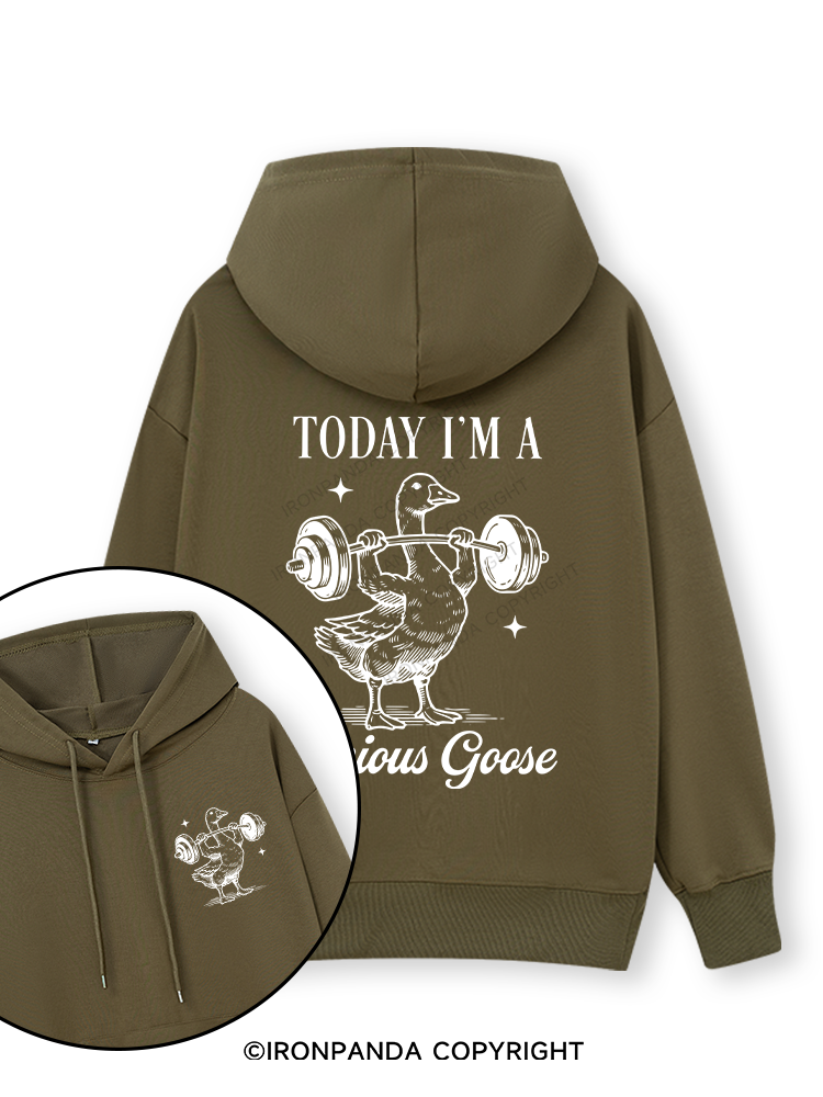 TODAY I'M A Serious Goose Double-Sided Printed Classic Gym Hoodie