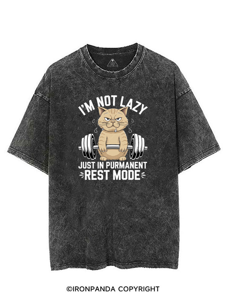 I'M NOT LAZY JUST IN PERMANENT REST MODE VINTAGE GYM SHIRT
