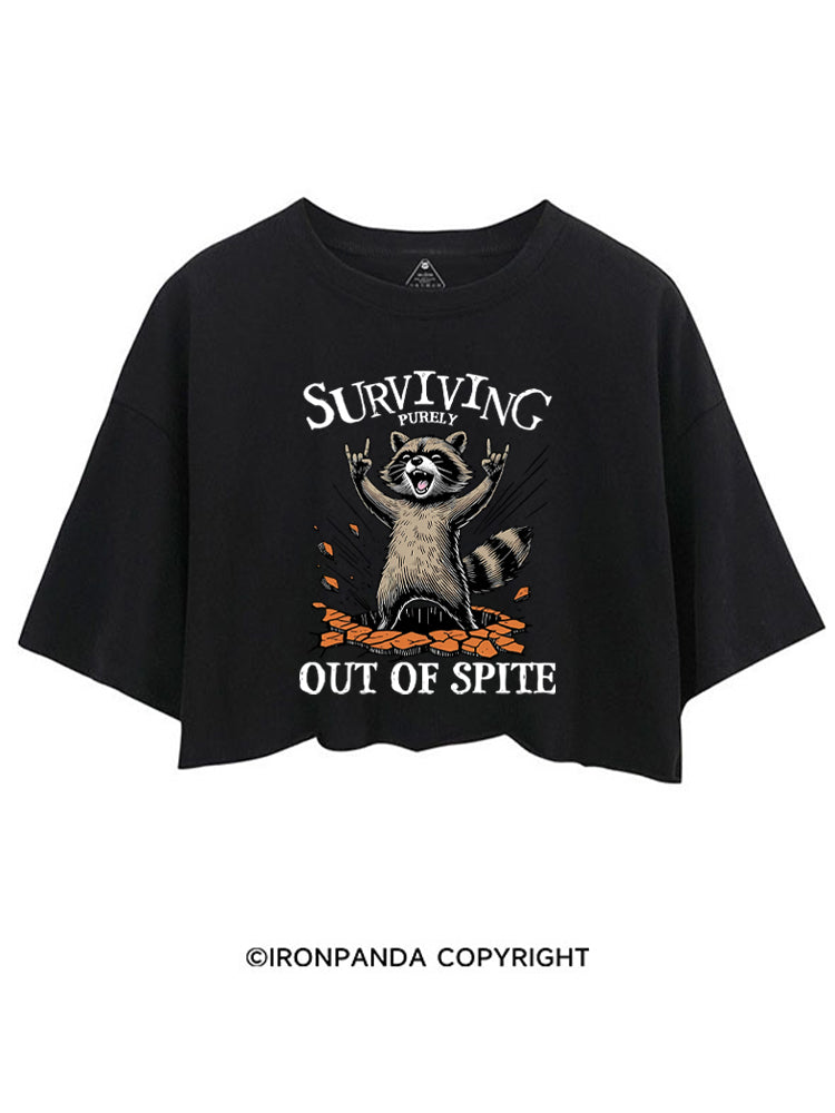 Raccoon Surviving Purely Out of Spite CROP TOPS