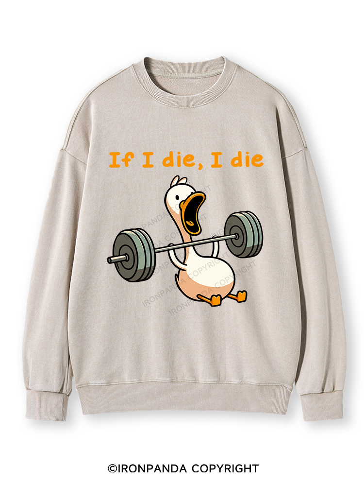 IF I DIE I DIE Washed Sweatshirt