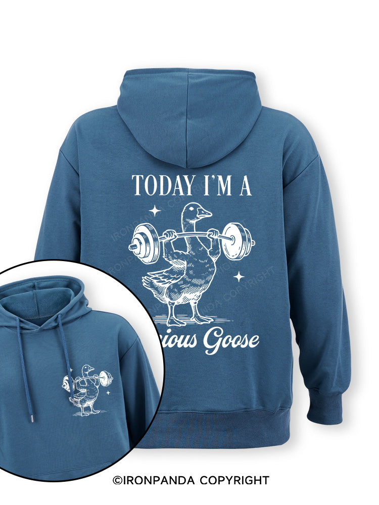 TODAY I'M A Serious Goose Double-Sided Printed Classic Gym Hoodie