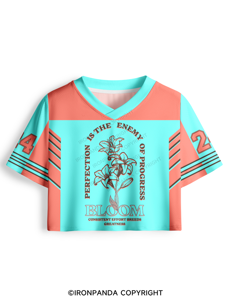 PERFECTION IS THE ENEMY OF PROGRESS Pro Mesh Jersey