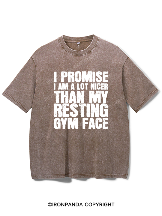 Nicer Than My Resting GYM Face Washed Gym Shirt