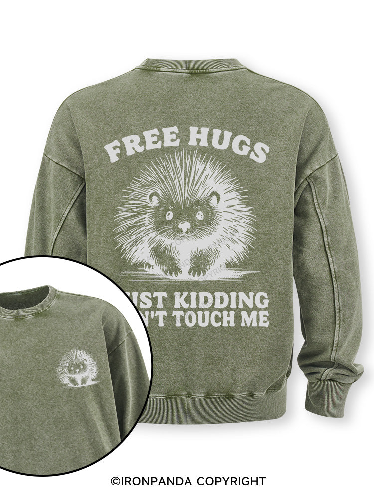 Free Hugs Just Kidding Don't Touch Me Lion Double-Sided Printed Washed Sweatshirt