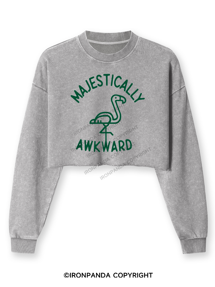 Majestically Awkward Washed Long-Sleeve Crop Top