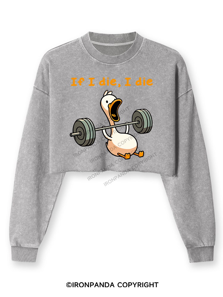 IF I DIE I DIE Washed Long-Sleeve Crop Top