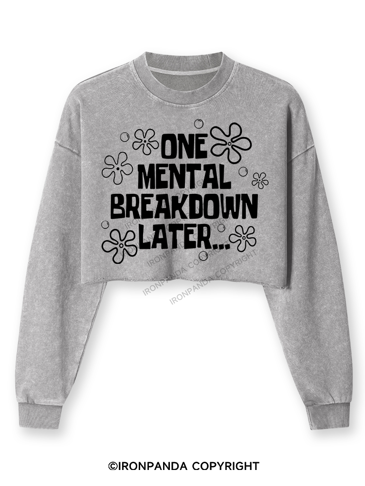 ONE MENTAL BREAKDOWN LATER Washed Long-Sleeve Crop Top