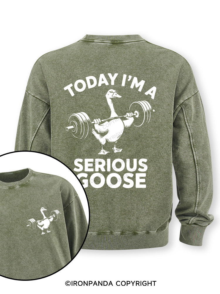 Today i'm a serious goose new Double-Sided Printed Washed Sweatshirt