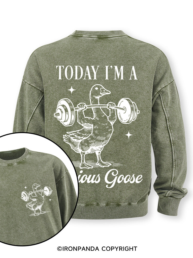 TODAY I'M A Serious Goose Double-Sided Printed Washed Sweatshirt