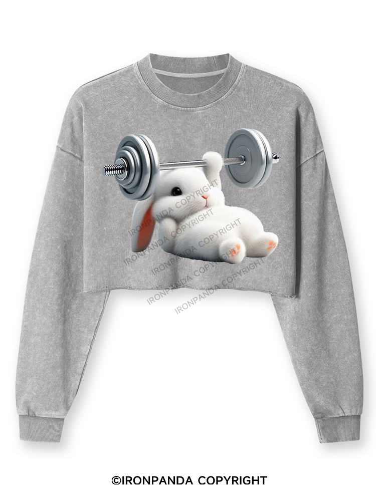 RABBIT ONE-ARM BENCH PRESS Washed Long-Sleeve Crop Top