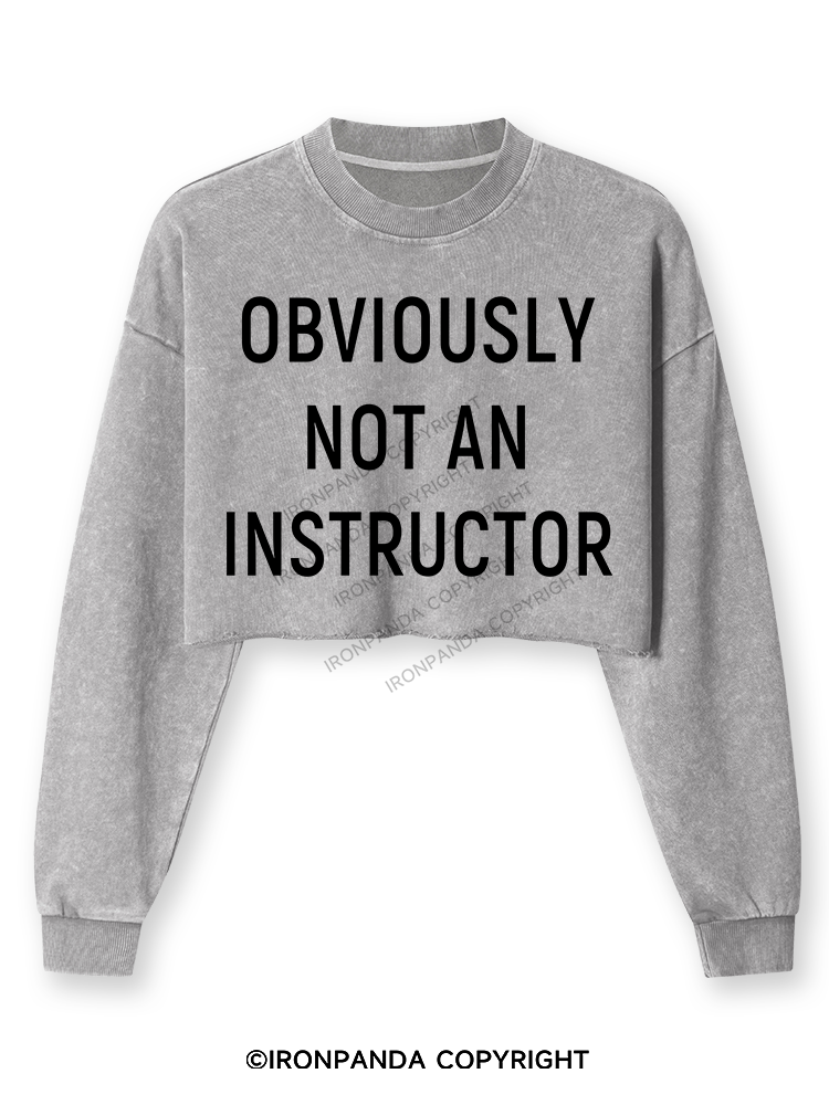 NOT AN INSTRUCTOR TEAM Washed Long-Sleeve Crop Top