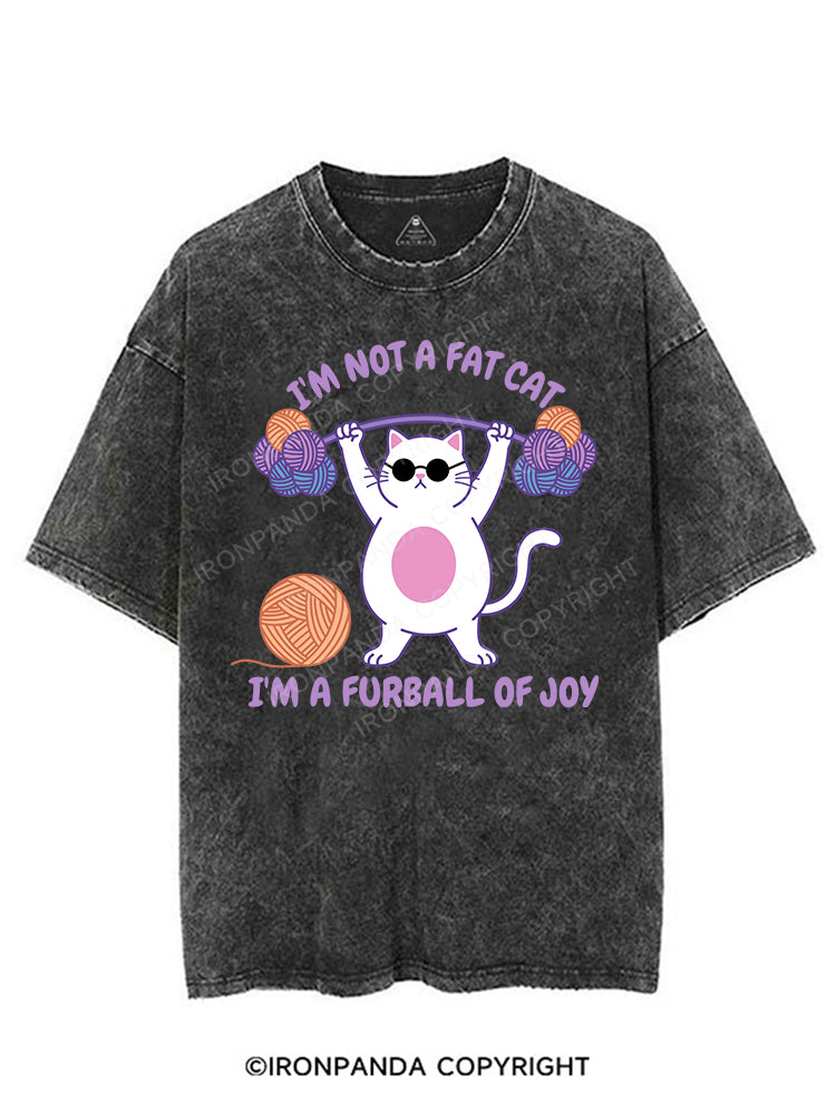 I'm not a fat cat, I'm a furball of joy VINTAGE GYM SHIRT