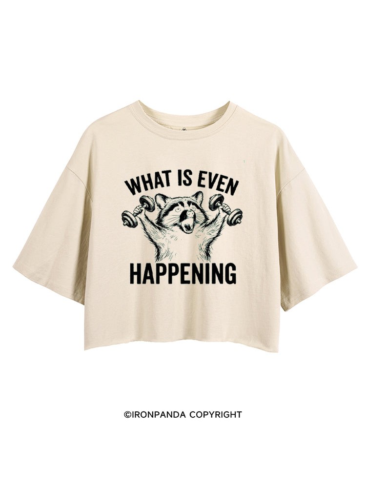 What Is Even Happening Raccoon CROP TOPS