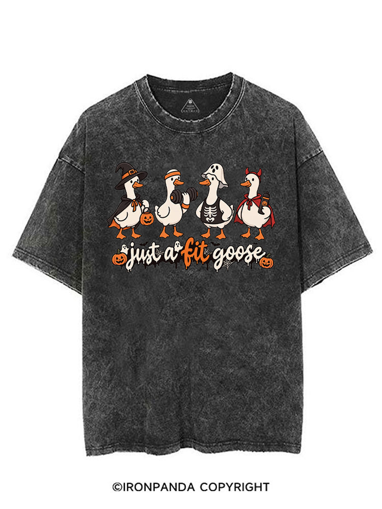 Just a Fit Goose Cute Goose Workout VINTAGE GYM SHIRT