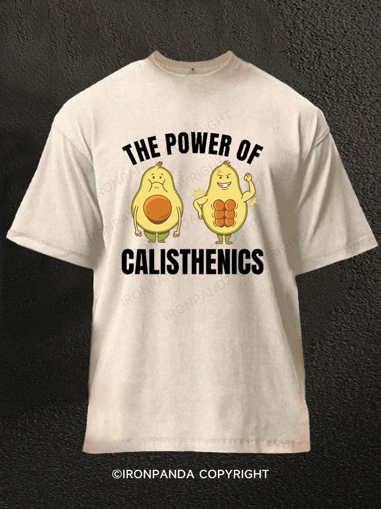 THE POWER OF CALISTHENICS Washed Gym Shirt