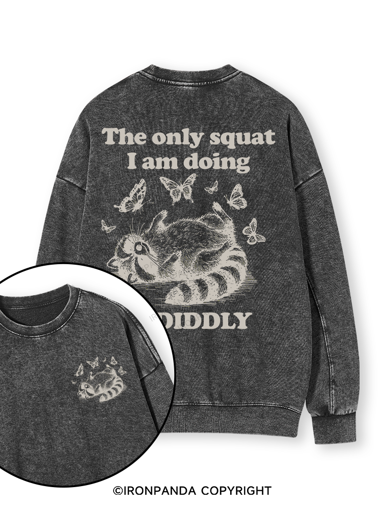 The Only Squat I’m Doing Is Diddly Double-Sided Printed Washed Sweatshirt