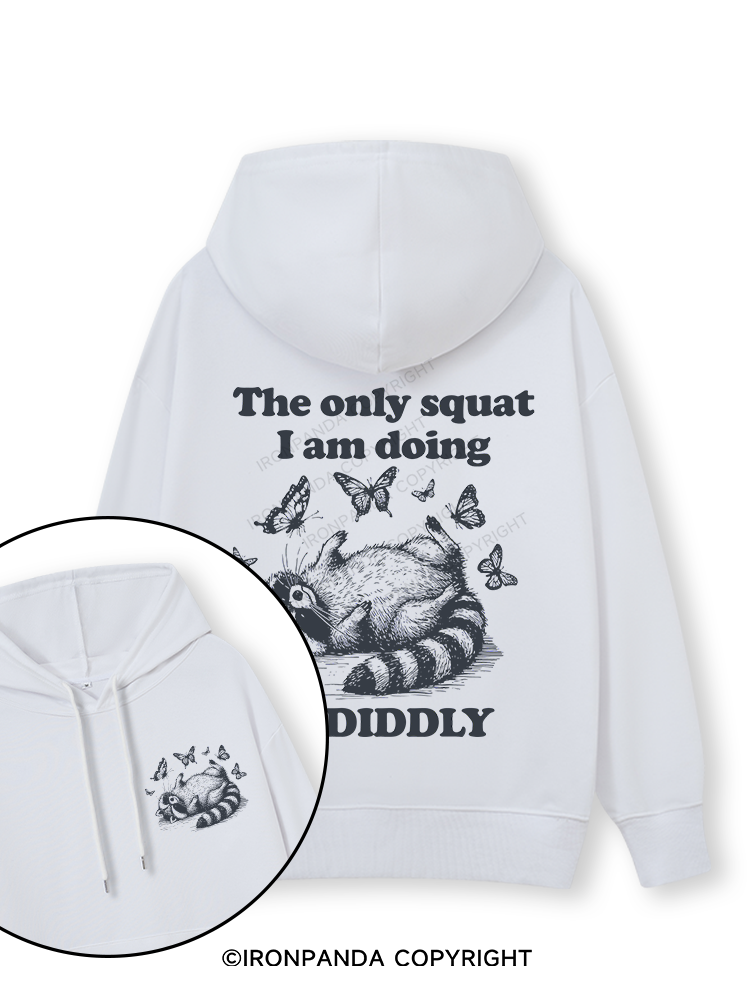 The Only Squat I’m Doing Is Diddly Double-Sided Printed Classic Gym Hoodie
