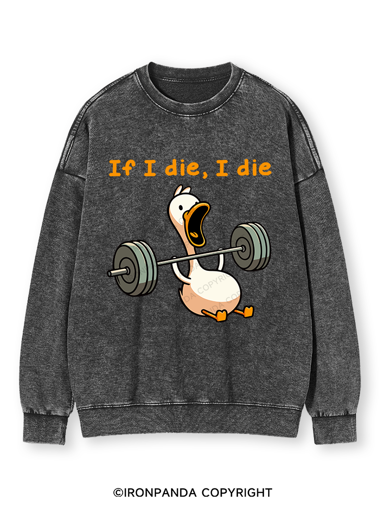 IF I DIE I DIE Washed Sweatshirt