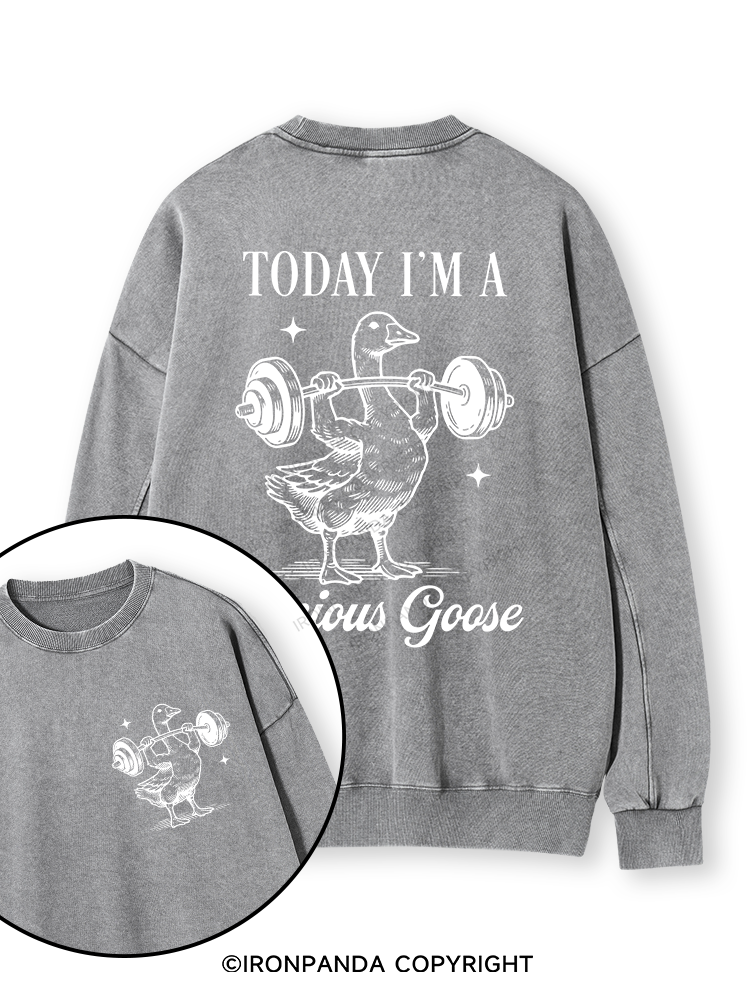 TODAY I'M A Serious Goose Double-Sided Printed Washed Sweatshirt