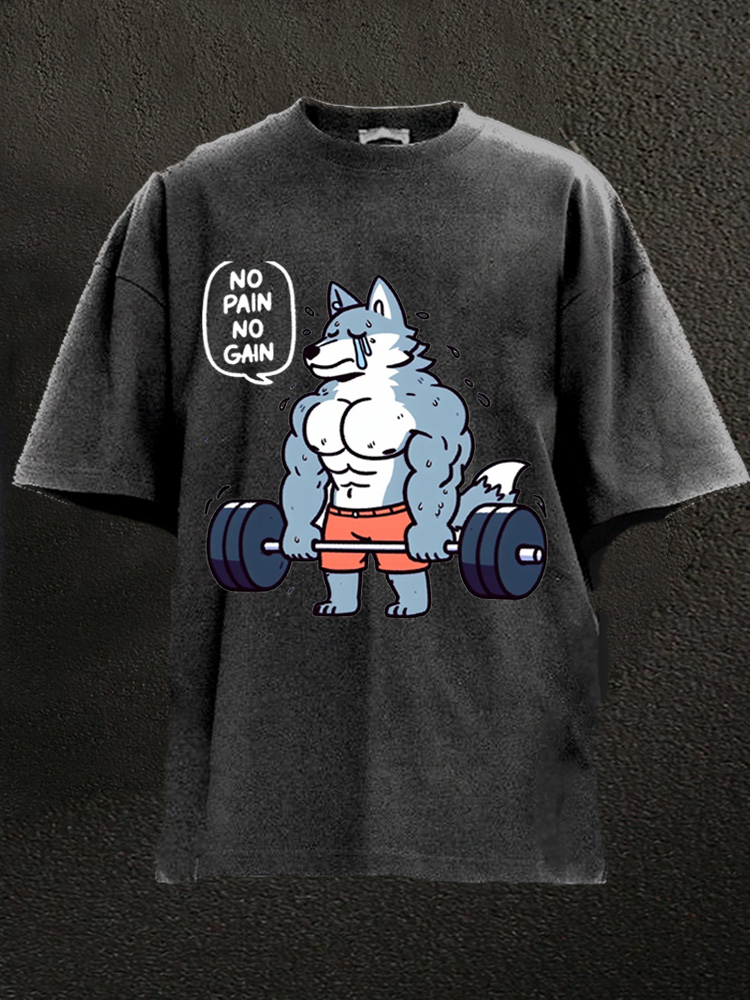 No Pain No Gain Washed Gym Shirt