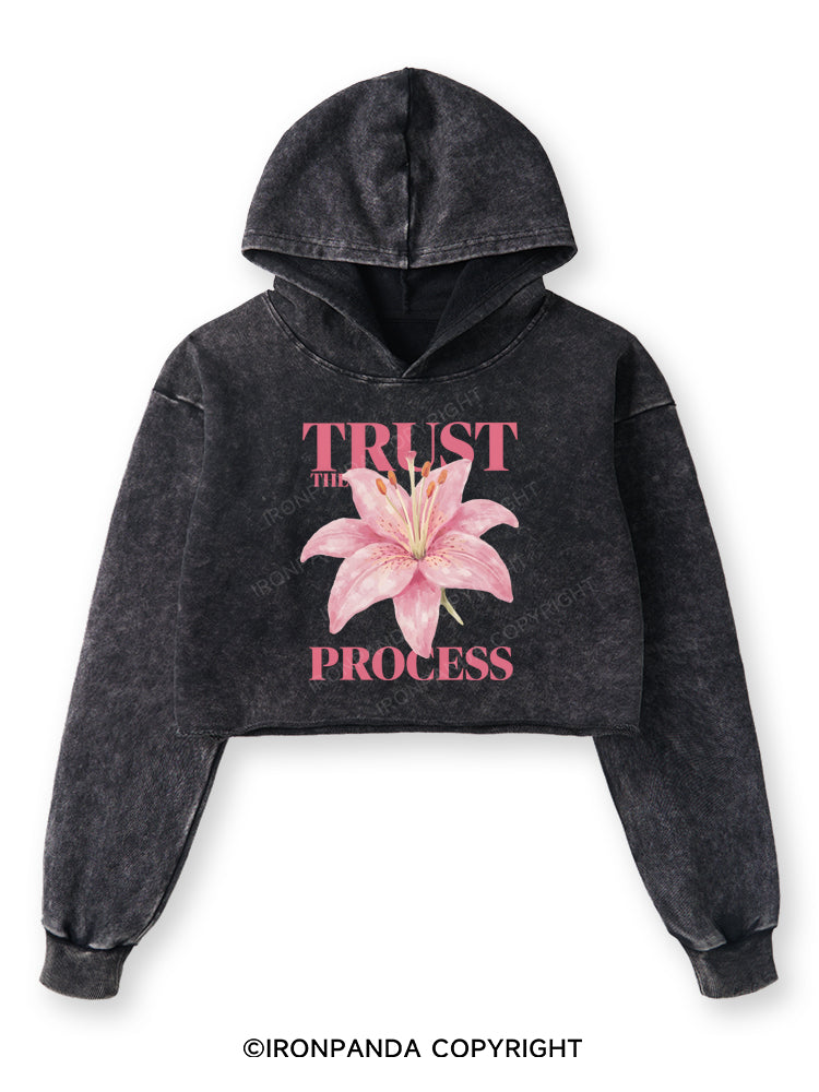 TRUST THE PROCESS Washed Crop Hoodie