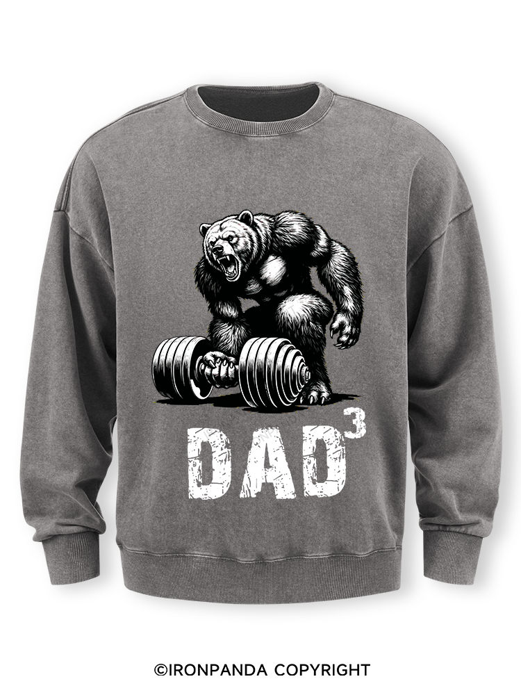 Dad Bear Washed Sweatshirt