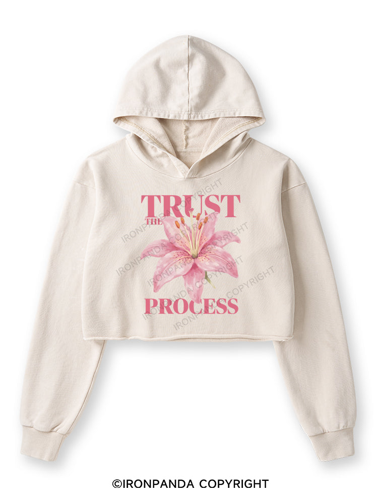 TRUST THE PROCESS Washed Crop Hoodie